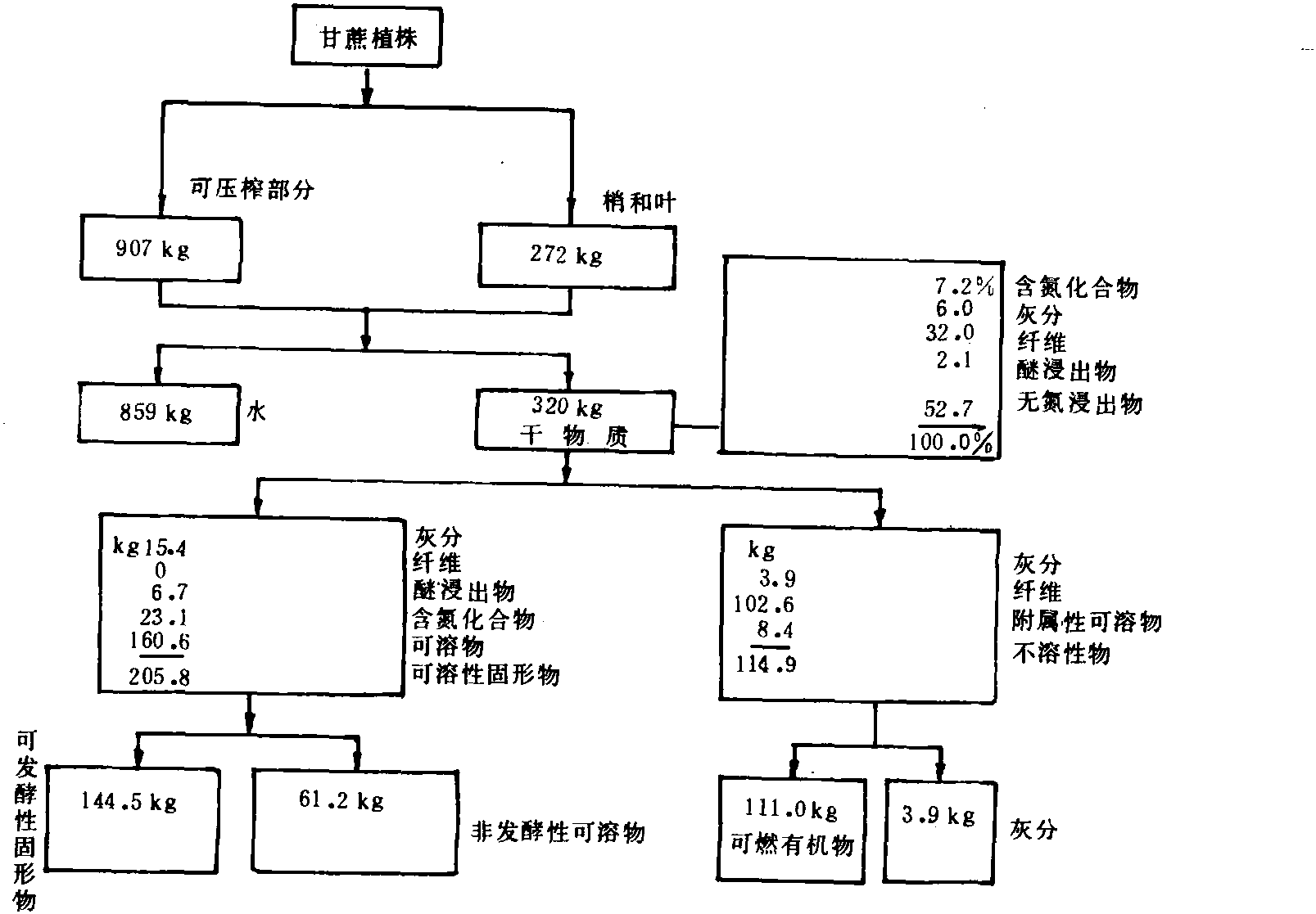 二、甘蔗